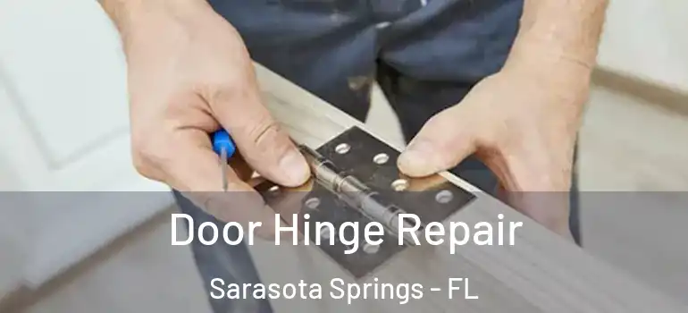  Door Hinge Repair Sarasota Springs - FL