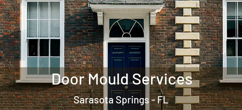  Door Mould Services Sarasota Springs - FL
