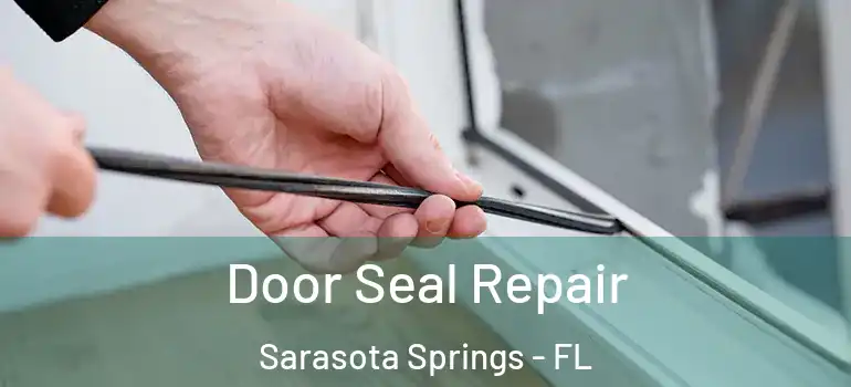  Door Seal Repair Sarasota Springs - FL