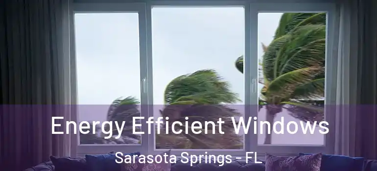  Energy Efficient Windows Sarasota Springs - FL
