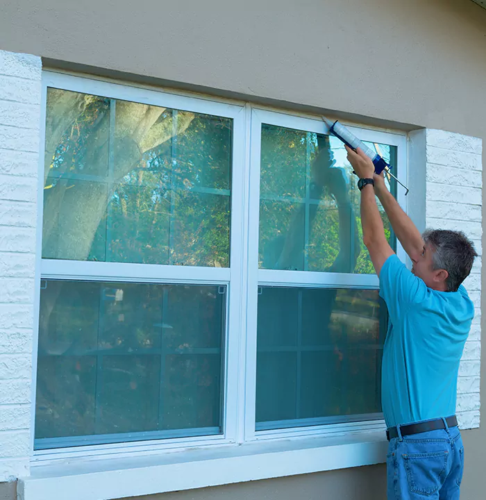 Modern Windows in Sarasota Springs, FL