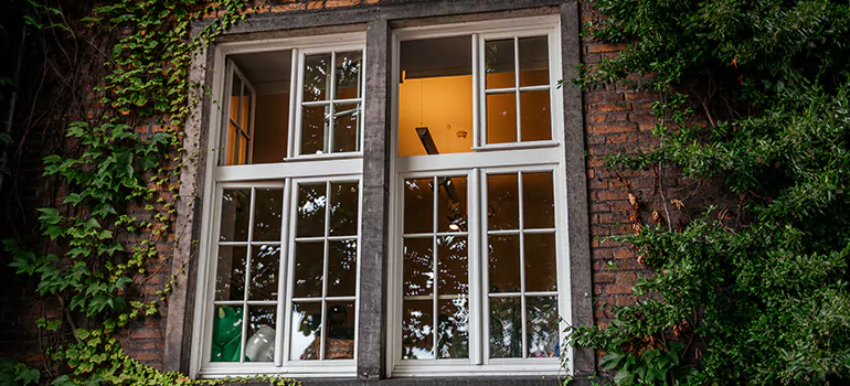 Energy Efficient Wood Windows in Sarasota Springs, FL