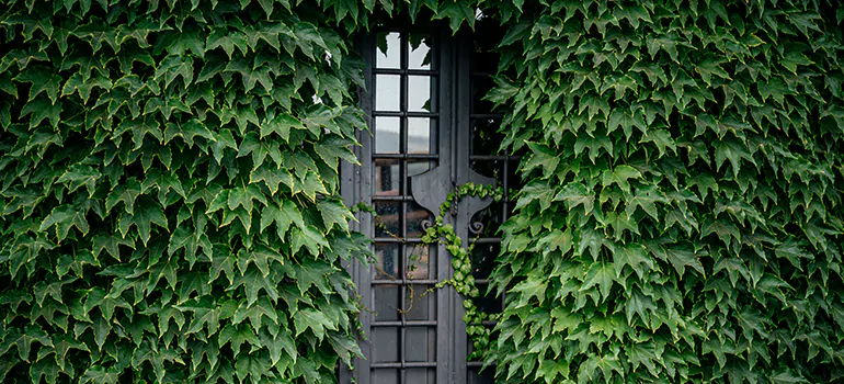 Garden Gate Repair in Sarasota Springs, FL