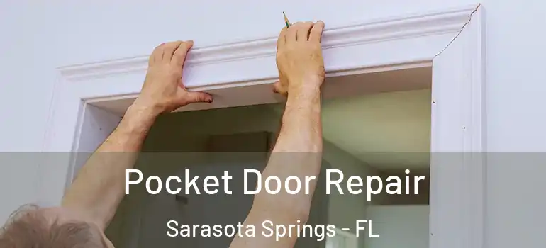  Pocket Door Repair Sarasota Springs - FL
