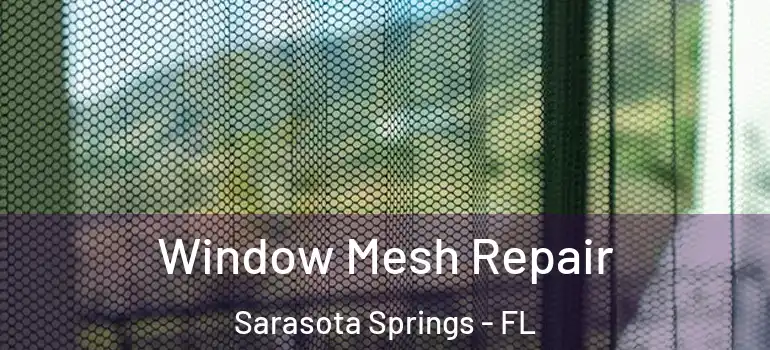  Window Mesh Repair Sarasota Springs - FL