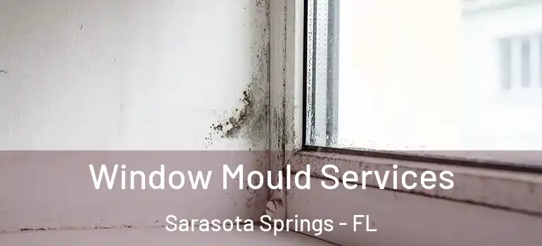  Window Mould Services Sarasota Springs - FL